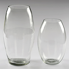 Shayona Glass